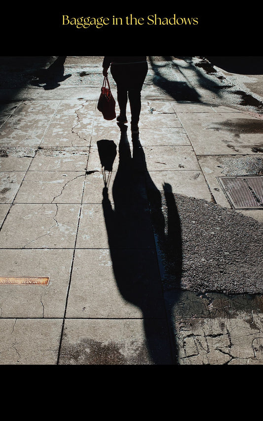 Baggage in Hidden Shadows